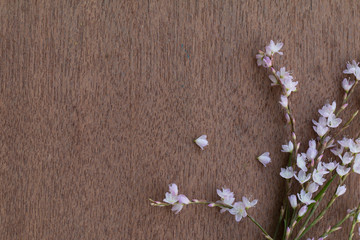 Vintage wooden background with pink flowers