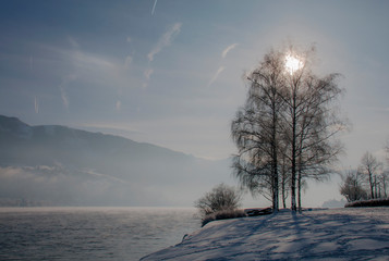 winter landscape with trees and snow