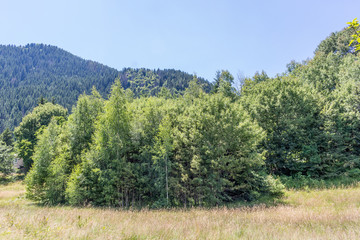 Obraz premium Landscape in Rhodopes