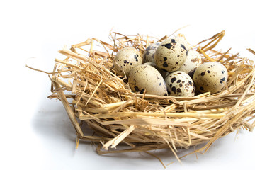 Naklejka na ściany i meble quail eggs in a nest isolated on white background