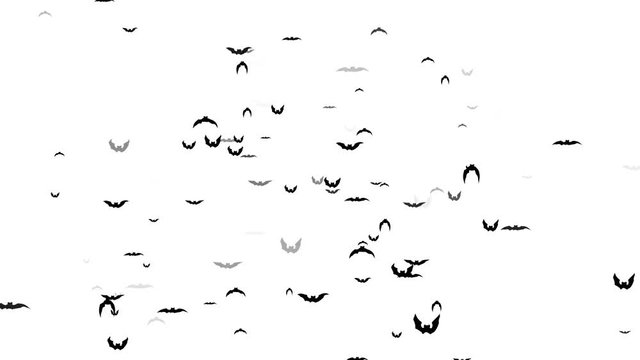 Flying bats on a white background animation