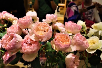 Pink Rose