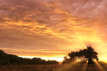 Beautiful summer sunset