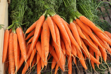 Carrots in the market