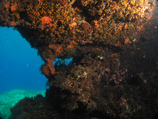 Fototapeta na wymiar Scuba Diving in Malta and Gozo