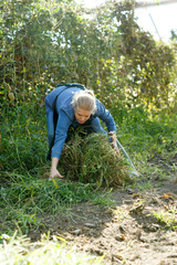 Woman farmer gardening in glasshouse