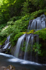 Fototapeta na wymiar 山梨県　初夏の吐竜の滝