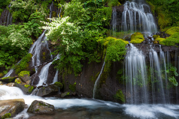 Fototapeta na wymiar 山梨県　初夏の吐竜の滝