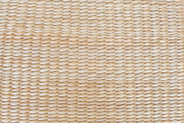 Beige bamboo backround