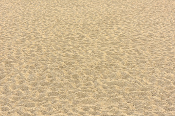 砂浜