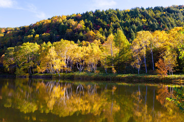 長野県　志賀高原の木戸池の紅葉