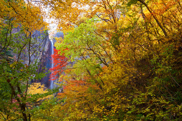長野県　秋の米子大瀑布