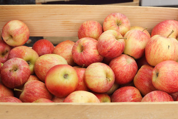 Apples in the market