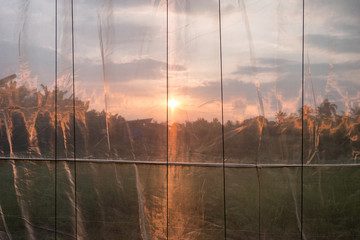Sunset shining on fabric of greenhouse
