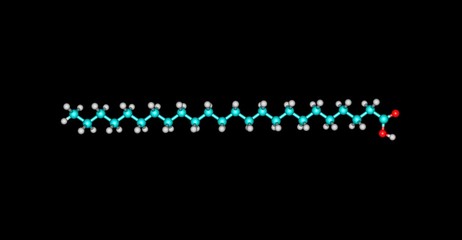 Tetracosanoic acid molecular structure isolated on black