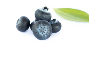 Fresh blueberry on white background