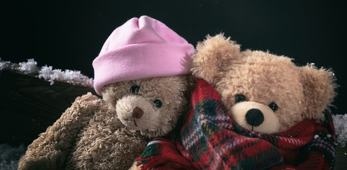 Winter, cold weather, love. Couple teddy bears sitting on a snowed bench, closeup view