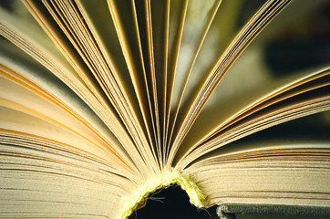 book macro