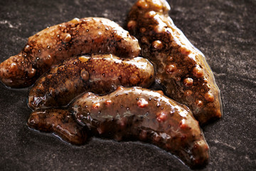 Fresh sea cucumber 