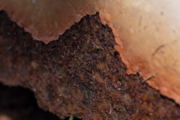 rusting away, rust