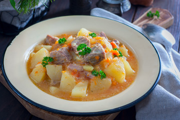 Stewed potatoes with turkey meat, horizontal