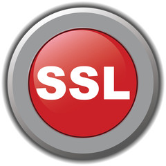 ssl icon
