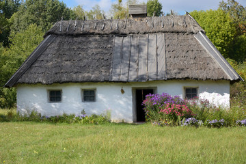 Fototapeta na wymiar Small old cute house with white walls and gray thatched roof with colorful flowers bed near the door on green summer background