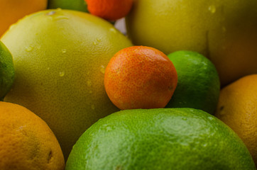 Citrus fruits orange, lemon, grapefruit, mandarin, lime