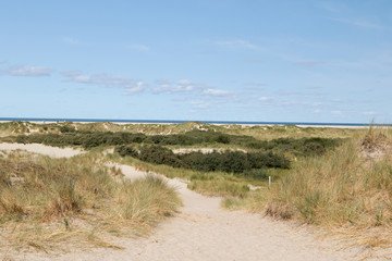ein fußweg zwischen den dünen auf der nordsee insel borkum fotografiert während einer sightseeing tour auf der insel bei strahlendem sonnenschein an einem spätsommertag