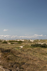 vegetation und landschaft auf den sand dünen auf der nordsee insel borkum fotografiert während einer sightseeing tour auf der insel bei strahlendem sonnenschein an einem spätsommertag