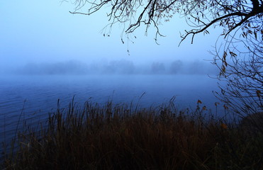 lake in the fog
