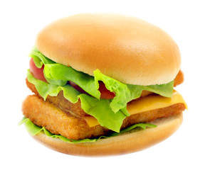 Macro photo of bright fresh isolated burger