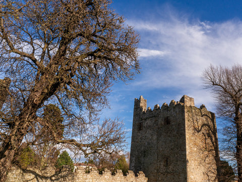 Ruins of an old castle surrounded by trees against a blue sky. Monkstown Castle , Dublin, Ireland.
