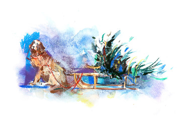 Dog on the sleigh carries a Christmas tree in the winter forest.