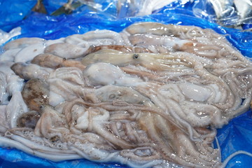 Octpus at the fish market