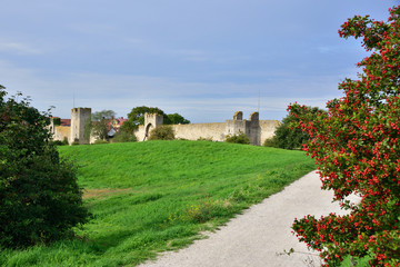 Blick zur Stadtmauer auf der Insel Gorland in Schweden