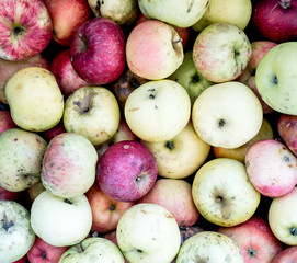 Apples background.