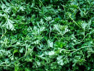Parsley.
