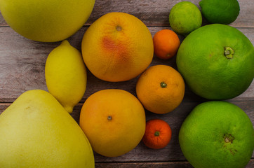 Citrus fruits orange, lemon, grapefruit, mandarin, lime