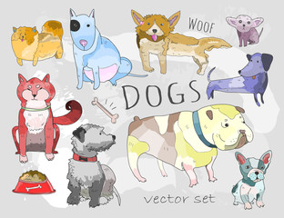 Hand drawn various breeds of dogs. Colored doodle vector set