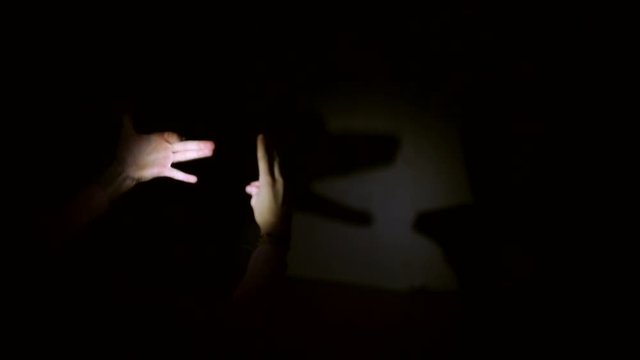 hand shadow on the wall