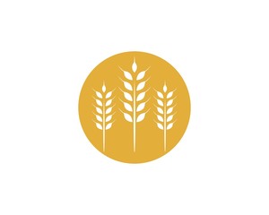 Agriculture wheat Logo Template vector icon design