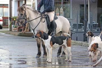 Türaufkleber Foxhound hunt pack and horse © Jenny Thompson