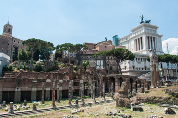 Naklejka premium View of the Roman Forum (Italy)