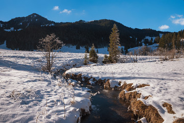 kleiner Bach in idyllischer Landschaft Spitzing, Wei&szlig;e Valepp