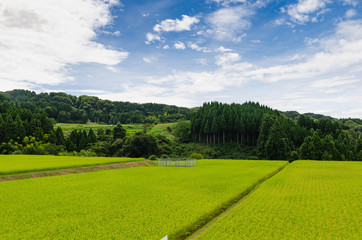 日本の田畑