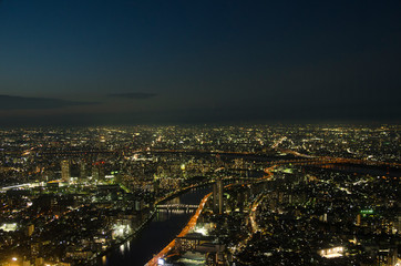 Fototapeta na wymiar Tokyo Night