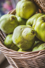 Basket full of Quince fruit