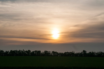 Beautiful landscape at sunset. Green wheat field at sunset