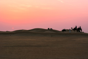 Fototapeta na wymiar desert summer sunset
